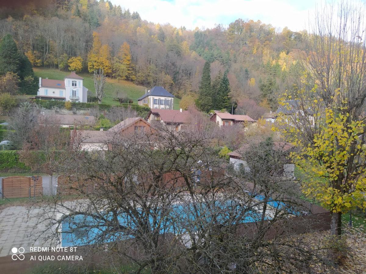 Joli Studio Au Centre D'Uriage Vaulnaveys-le-Haut Екстериор снимка