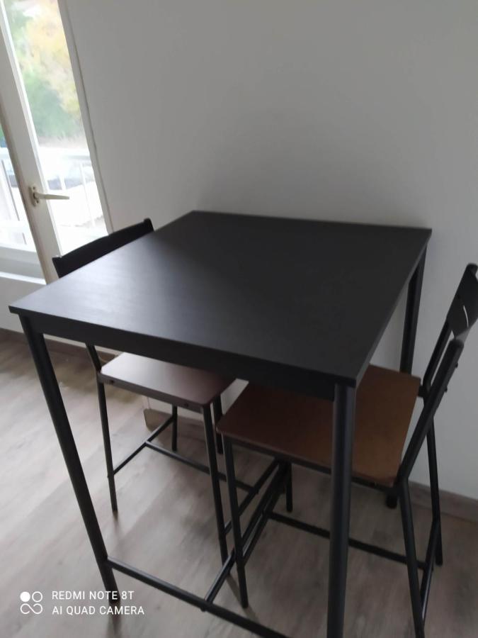 Joli Studio Au Centre D'Uriage Vaulnaveys-le-Haut Екстериор снимка
